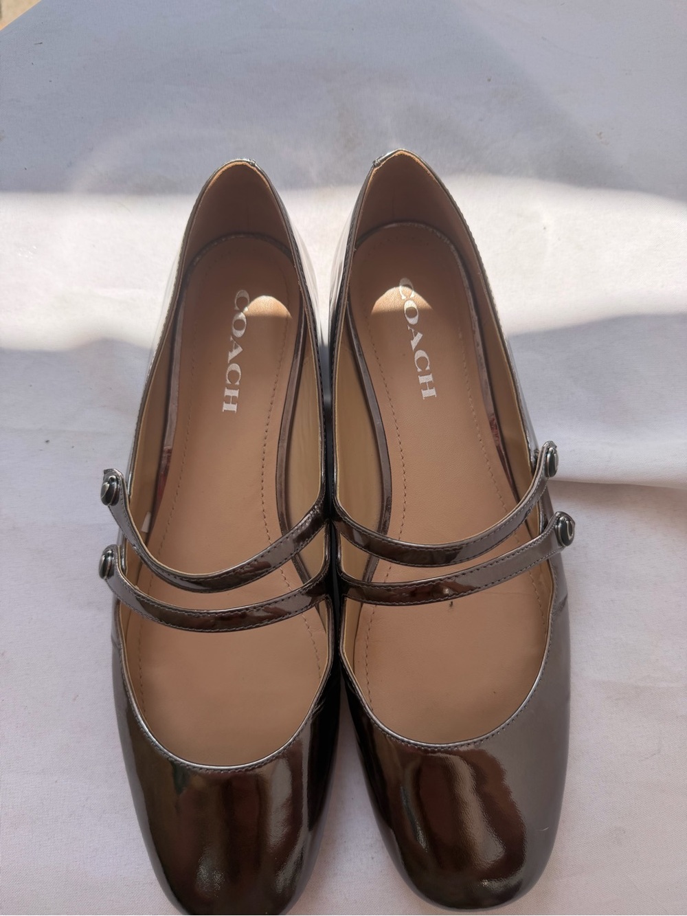 Coach Winley Metallic Pewter Mary Jane Flats Size 11 Balletcore Double Strap